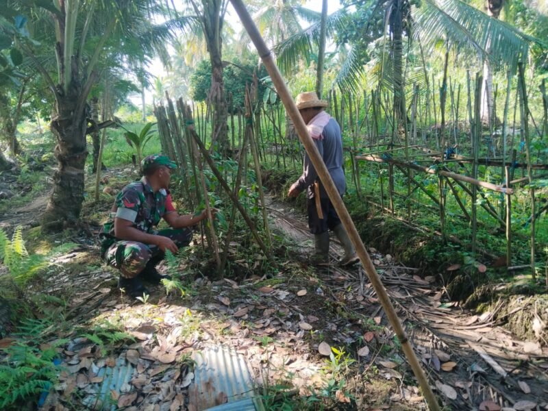 Komsos di Kebun Lombok, Babinsa Pererat Silaturahmi dengan Warga Desa Jamil