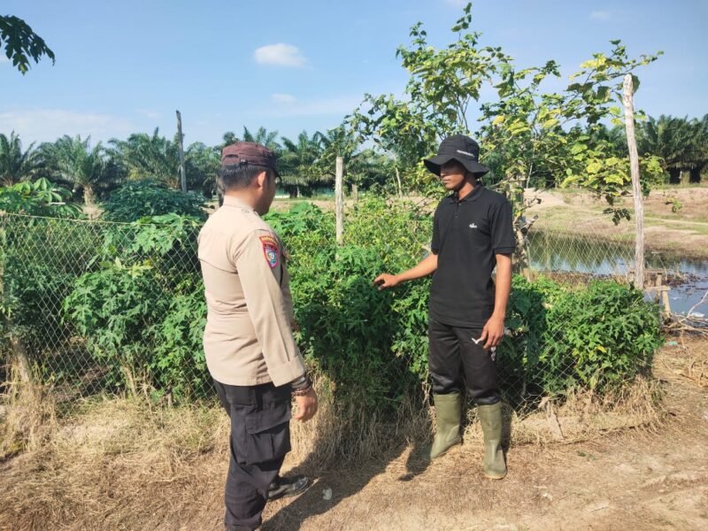 Giat dukungan terhadap program pemerintah Pusat tentang Ketahanan Pangan