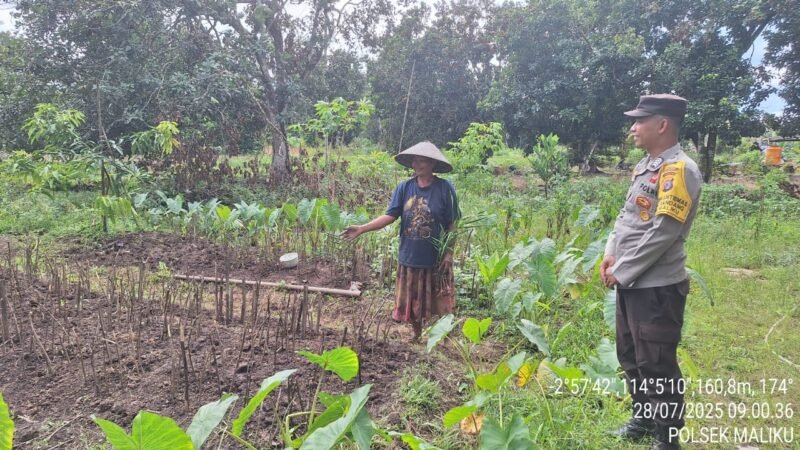 Pemanfaatan Pekarangan Pangan Bergizi di Wilkum Polsek Maliku