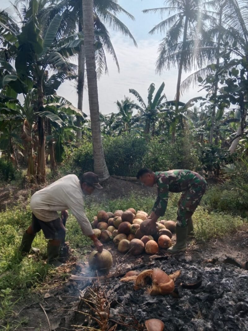 Komsos Bersama Petani Kelapa Babinsa Serumpun Beri Semangat Dan Motivasi