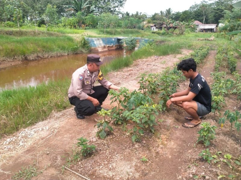 SATBINMAS SAMBANG PETANI SAMPAIKAN PESAN-PESAN KAMTIBMAS