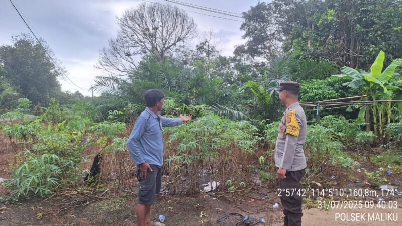 Pemanfaatan Pekarangan Pangan Bergizi di Wilkum Polsek Maliku