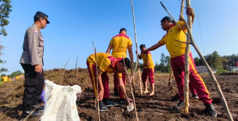 Dukung Ketahanan Pangan, Polres Pulang Pisau Tanam Jagung di Lahan Kantor