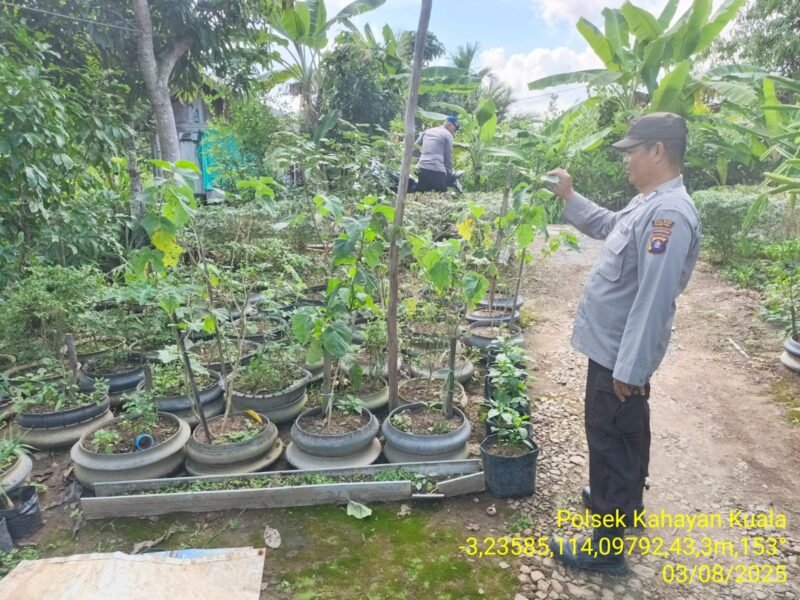 Giat dukungan terhadap program pemerintah Pusat tentang Ketahanan Pangan