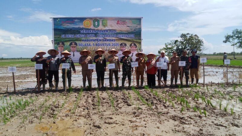 Dandim 1208/Sambas Dampingi Wakil Kepala Koordinator Pelaksana Swasembada Pangan Kalbar Tanam Padi Varitas Inpari Desa Singaraya
