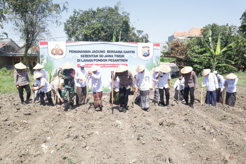 Sinergi Polres Tanjung Perak dan Santri Ponpes Al Fitrah, Tanam Jagung Dukung Ketahanan Pangan Nasional