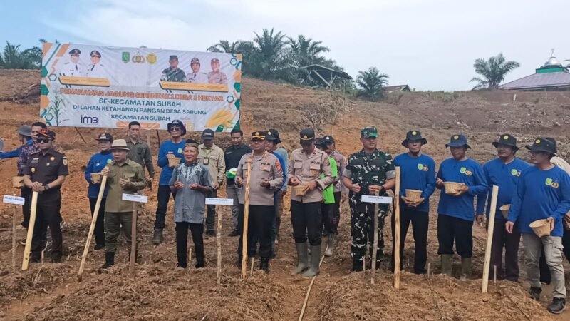 Dukung Ketahanan Pangan, Dandim 1208/Sambas Hadiri Tanam Jagung Se-Kecamatan Subah Dan Tinjau Hasil Karya Bakti Rabat Beton