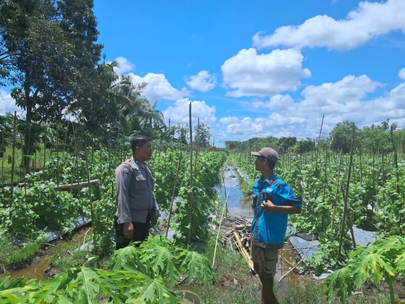 Satbinmas Sambang Ke Petani Dan Sampaikan Pesan-Pesan Kamtibmas