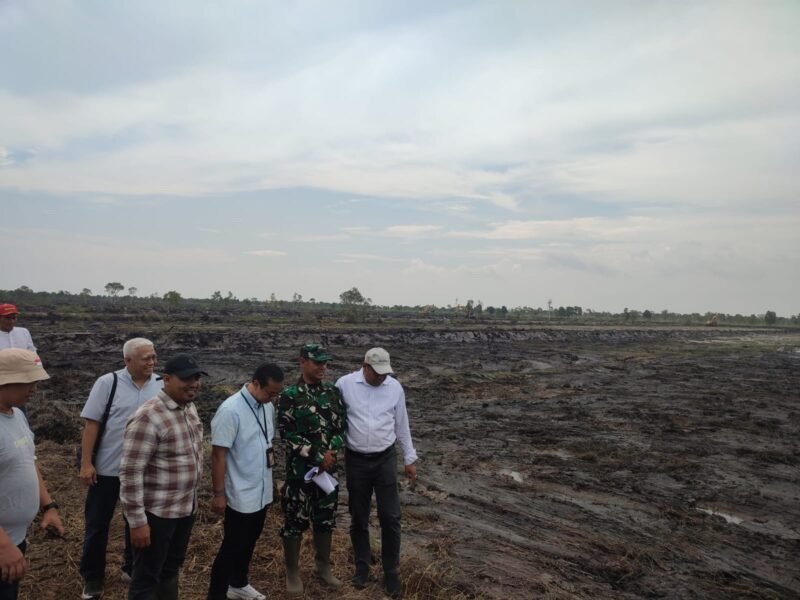 Kasdim 1000/Tla Dampingi Sekretaris Direktorat Jenderal PSP Kementan RI Cek Progres Cetak Sawah Di Desa Ujung