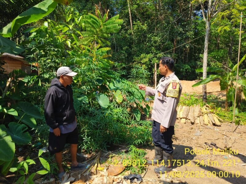 Sampaikan Pesan Kamtibmas Oleh personil Polsek Maliku Kepada Warga