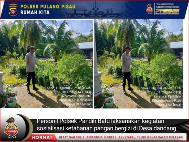 Bhabinkamtibmas Desa Dandang Sambangi Masyarakat Desa Binaan sekaligus Sisipkan Pesan Kamtibmas terkait pemanpaatan perkarangan Untuk Menanam Tanaman Pangan Bergizi