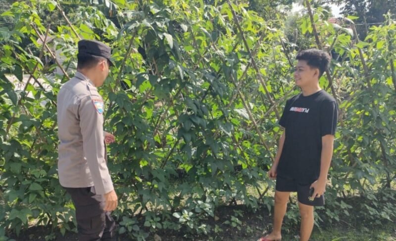 SATBINMAS POLRES PULANG PISAU SAMBANGI PETANI DAN SAMPAIKAN PESAN-PESAN KAMTIBMAS.