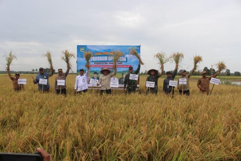 Bersama Bupati Dandim 1009/Tla Melaksanakan Panen Raya Padi IP 200 Serta Penanaman Padi IP 300 Program Oplah Tahun 2024