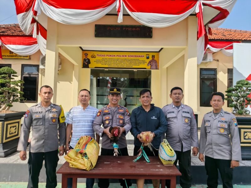 Lokasi Polai Laok Sabung Ayam, Polsek Sokobenah Hebat Brantas Sabung Ayam