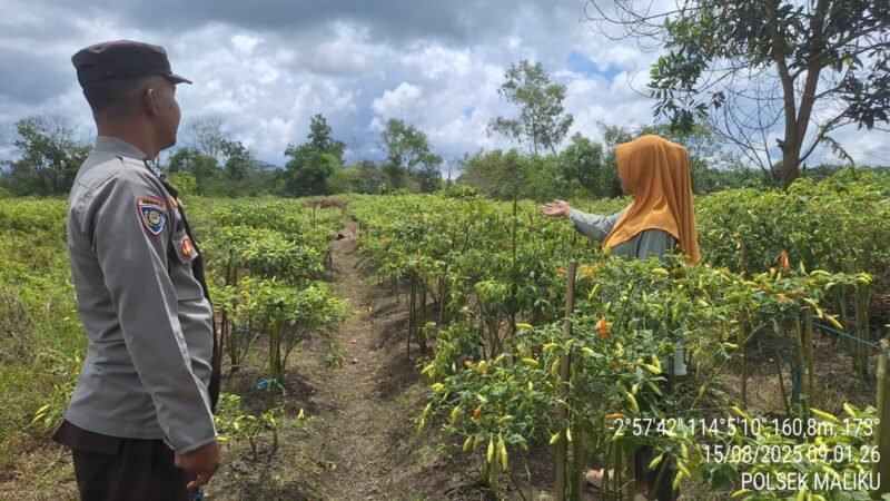 Sampaikan Pesan Kamtibmas Oleh personil Polsek Maliku Kepada Warga