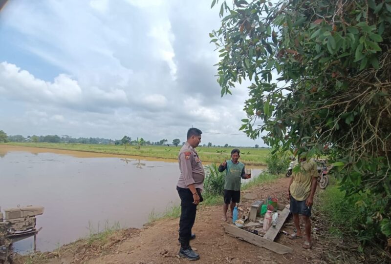 Bhabinkamtibmas Food Estate Melaksanakan Cek Sawah untuk Pengawasan Keamanan dan Ketahanan Pangan