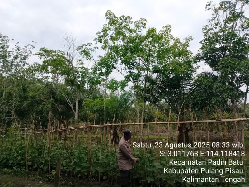 Bhabinkamtibmas Desa Dandang Sambangi Masyarakat Desa Binaan sekaligus Sisipkan Pesan Kamtibmas terkait pemanpaatan perkarangan Untuk Menanam Tanaman Pangan Bergizi