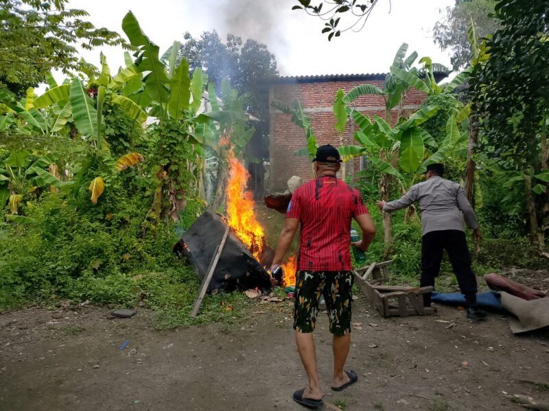 Respon Cepat Pengaduan Masyarakat, Polisi Bongkar Arena Sabung Ayam di Sidoarjo