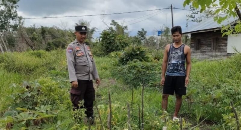 PERSONEL SATBINMAS POLRES PULANG PISAU SAMBANGI PETANI DI DESA KALAWA
