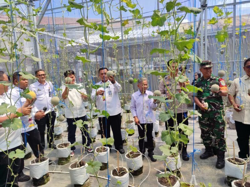 Kalapas Sukamiskin Fajar Nurcahyono Pimpin Panen Raya Melon Jenis Inthanon