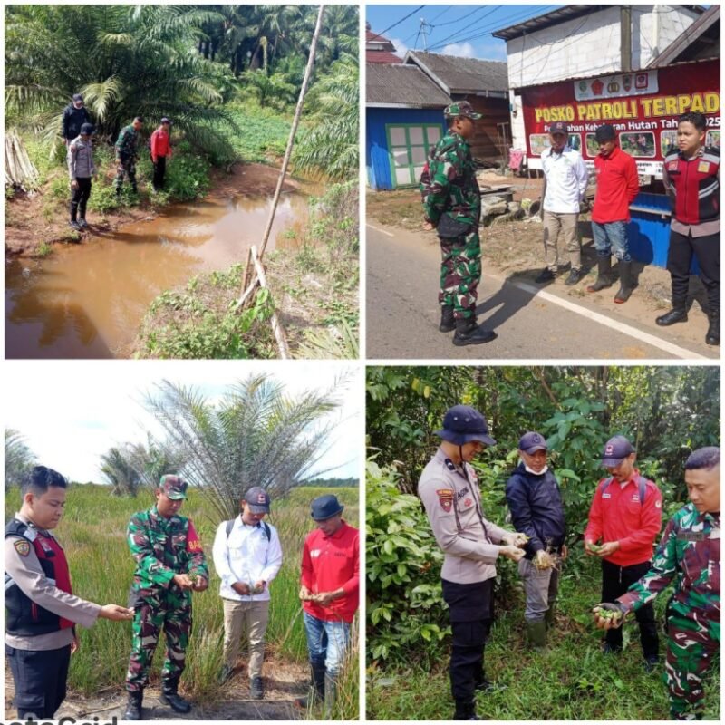 Patroli Terpadu Cegah Karhutla Babinsa Jajaran Kodim 1009/Tla Bersama Polres Tala Dan MPA Cek Lokasi Serta Berikan Sosialisasi