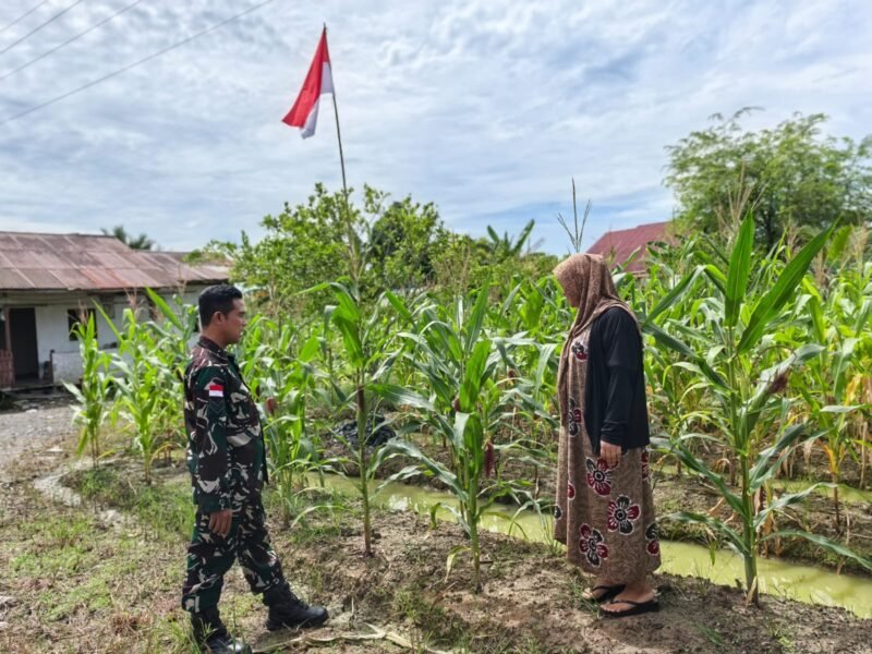 Jalin Keakraban, Anggota Koramil 1208-03/Tebas, Laksanakan Komsos Bersama Petani Jagung