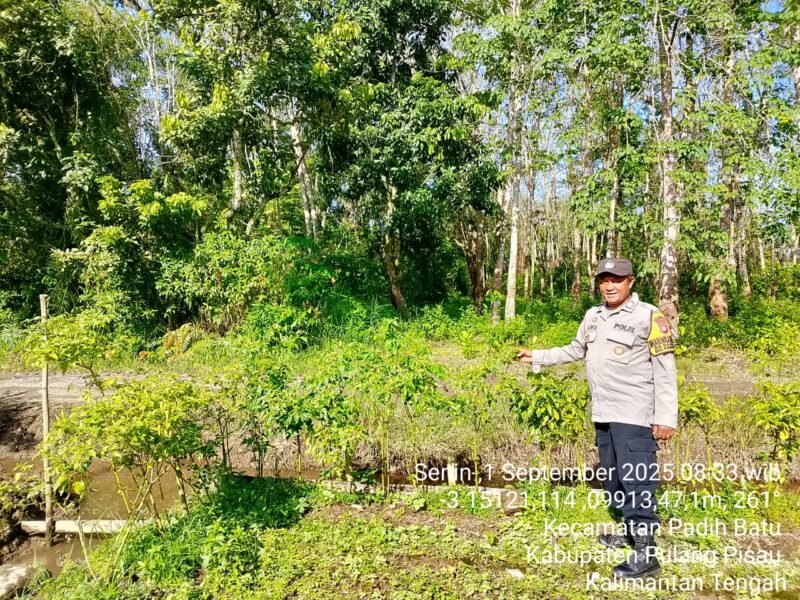 Bhabinkamtibmas Desa Dandang Sambangi Masyarakat Desa Binaan, sekaligus Sisipkan Pesan Kamtibmas terkait pemanpaatan perkarangan Untuk Menanam Tanaman Pangan Bergizi