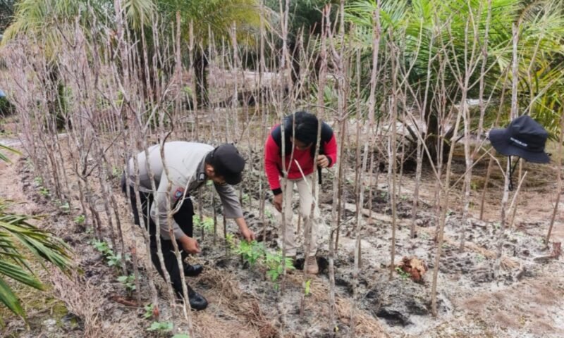 Polsek Banama Tingang Dorong Ketahanan Pangan Lewat Sosialisasi Pemanfaatan Pekarangan Tanam Pangan Bergizi