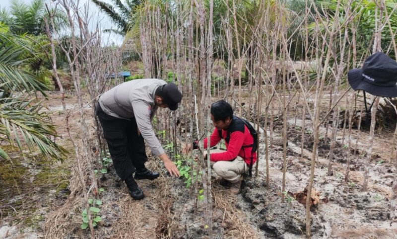 Polsek Banama Tingang Sambang dan Sosialisasi Pemanfaatan Pekarangan untuk Tanam Pangan Bergizi Dukung Ketahanan Pangan