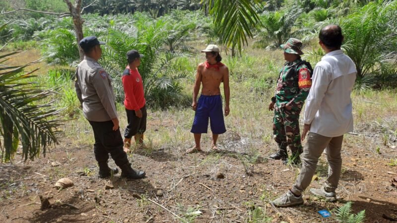 Cuaca Tidak Menentu Bersama Manggala Agni Dan Masyarakat Personel Kodim 1009/Tla Tetap Patroli Cegah Karhutla