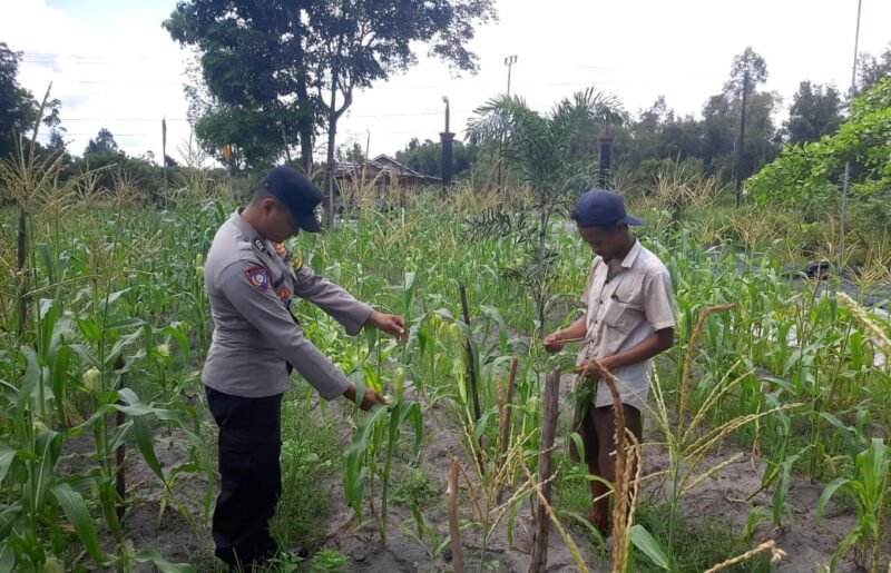 SATBINMAS SAMBANG PETANI SAMPAIKAN PESAN-PESAN KAMTIBMAS