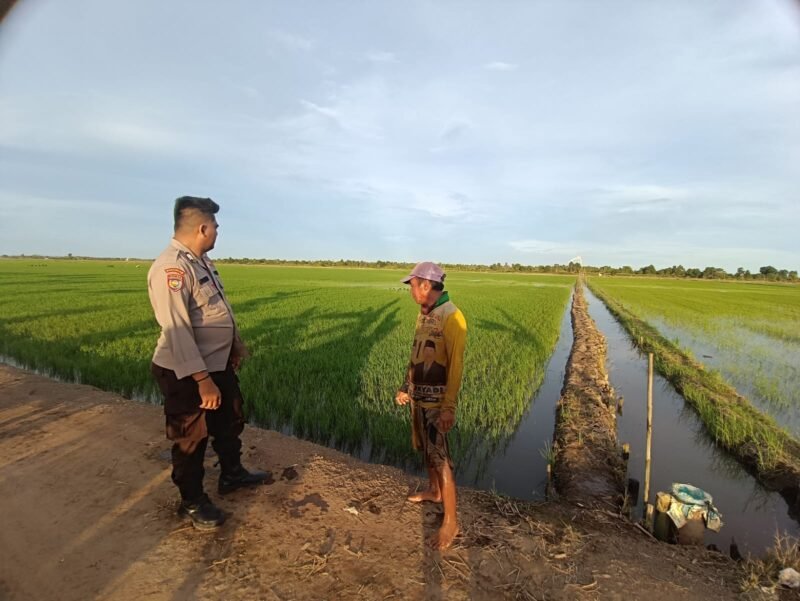 Dengan Rutin Sambang, Bhabinkamtibmas Food Estate Sampaikan Pesan Kamtibmas