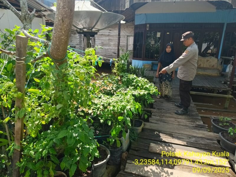 program pemerintah Pusat, Foto: Bib TargetNews.id