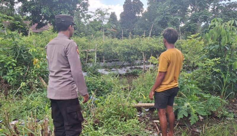 SATBINMAS SAMBANGI PETANI SAMPAIKAN PESAN-PESAN KAMTIBMAS