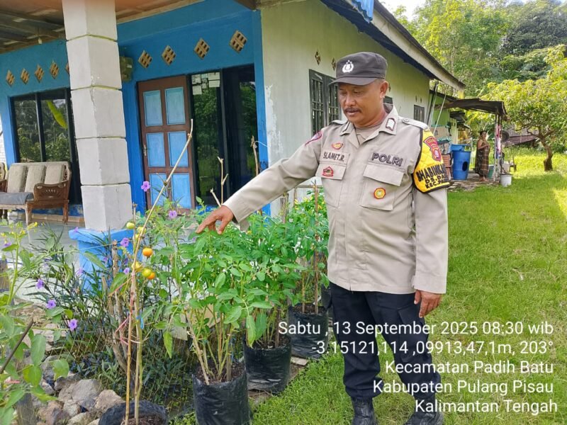 Bhabinkamtibmas Desa Dandang Sambangi Masyarakat Desa Binaan sekaligus Sisipkan Pesan Kamtibmas terkait pemanpaatan perkarangan Untuk Menanam Tanaman Pangan Bergizi