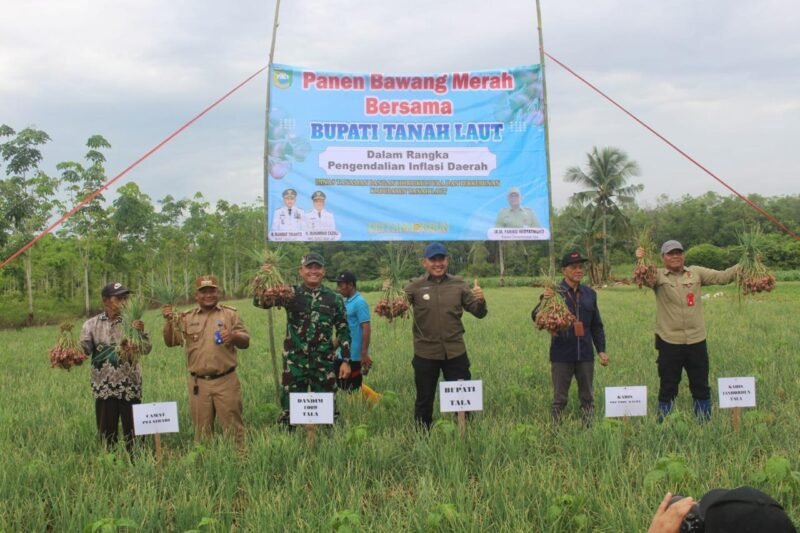 Dukung Pengendalian Inflasi Daerah Dandim 1009/Tla Menghadiri Kegiatan Panen Bersama Bawang Merah