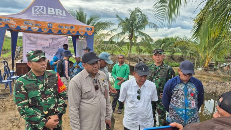 Dukung Ketahanan Pangan Nasional, HST Targetkan 200 Hektar Sawah Baru