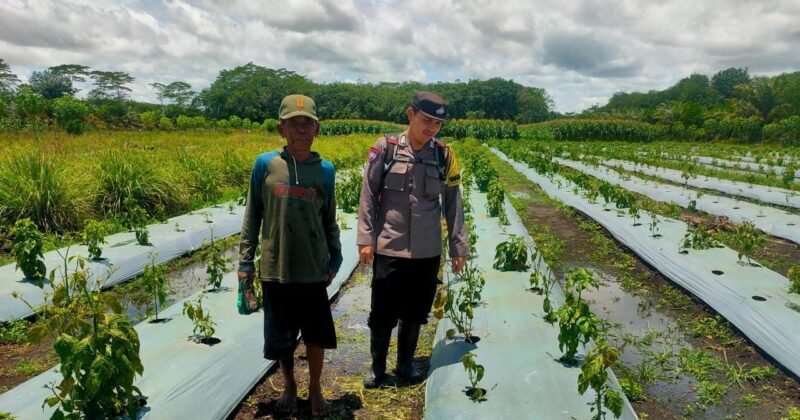 Melalui Kegiatan Sambang, Polsek Maliku Ajak Masyarakat untuk Wujudkan Kamtibmas yang Aman