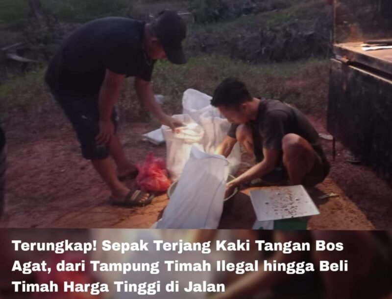 Diduga Jono Pasok Timah Ilegal ke PT. PTI: Negara Rugi miliyaran?