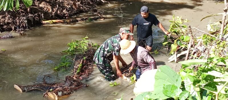 TNI dan Warga Gotong Royong Atasi Pohon Tumbang di Sungai Tabu Darat