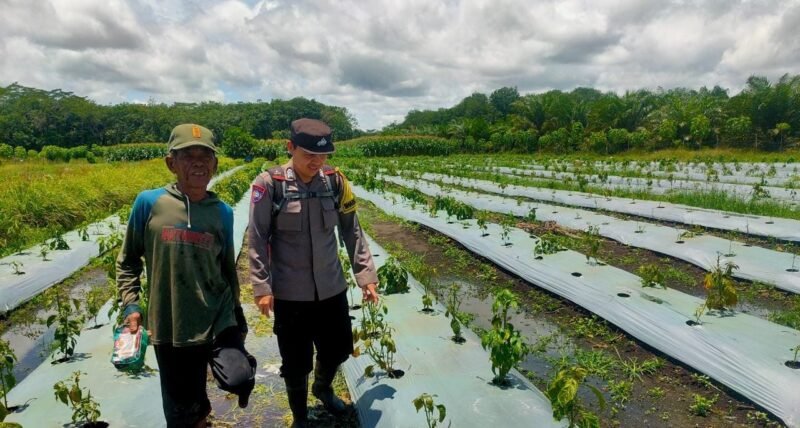 Sampaikan Imbauan Kamtibmas Kepada Masyarakat oleh Personel Polsek Maliku
