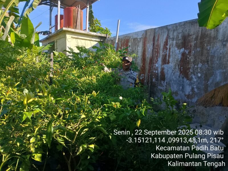 Bhabinkamtibmas Desa Dandang Sambangi Masyarakat Desa Binaan sekaligus Sisipkan Pesan Kamtibmas terkait pemanpaatan perkarangan Untuk Menanam Tanaman Pangan Bergizi