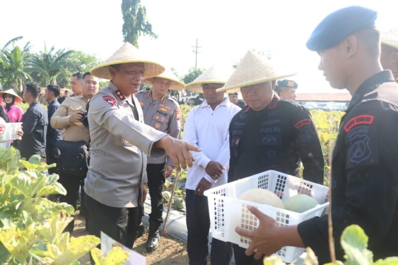 Brimob Polda Jatim Panen Melon dan Semangka, Dukung Program Ketahanan Pangan Nasional