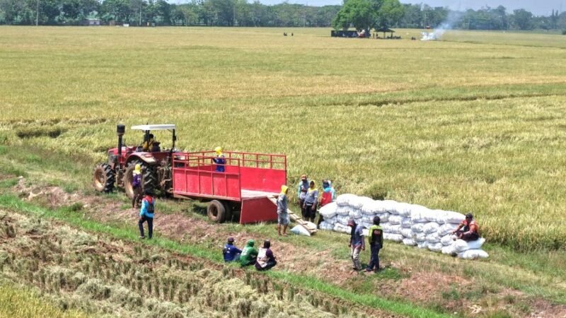 *Direktur Idensos Densus, 88 AT Lakukan Kunjungan Kerja ke PT Sang Hyang Seri Subang