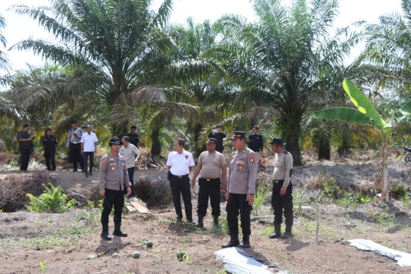 Sinergi untuk Swasembada Pangan: Kapolres Pulang Pisau Pastikan Kesiapan Panen Raya Jagung Tahap III