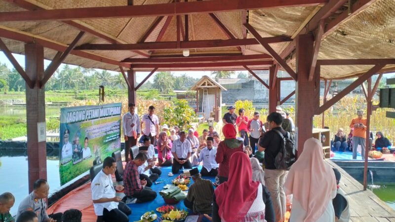 Jagong Tani Multi Pihak Di Desa Kemloko, Wujudkan Kedaulatan Dan Ketahanan Pangan