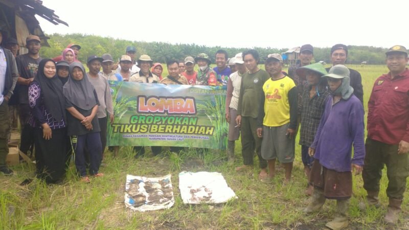 Bantu Petani Kurangi Populasi Hama Tikus, Babinsa Koramil 1009-01/Jorong Ikuti Kegiatan Gropyokan Berhadiah