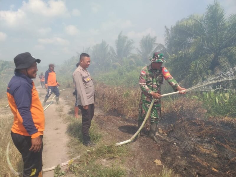 Sigap Anggota Koramil, Polsek Dan Manggala Agni Serta MPA Kecamatan Jawai Padamkan Api Di Perkebunan Warga.
