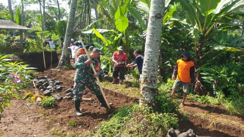 Babinsa Tegalasri Gotong Royong Bangun Tanggul Dan Drainase Bersama Warga