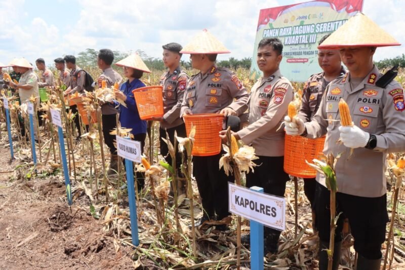 Dampingi Kapolda Kalteng, Kapolres Pulang Pisau Apresiasi Peran Petani dalam Panen Raya Jagung Kuartal III